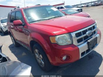  Salvage Ford Escape
