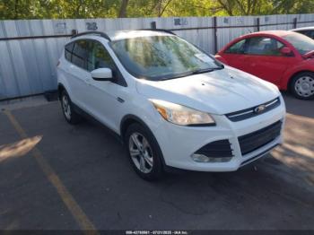  Salvage Ford Escape