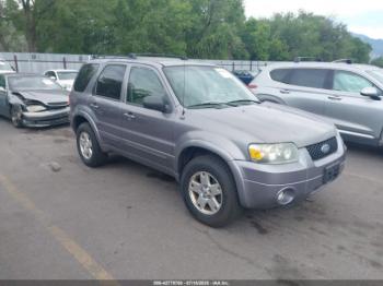  Salvage Ford Escape