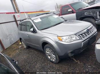  Salvage Subaru Forester