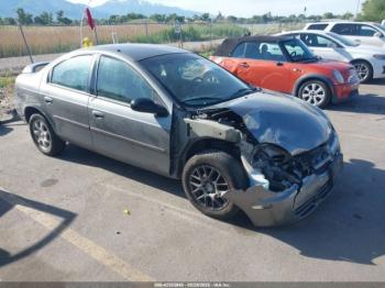  Salvage Dodge Neon