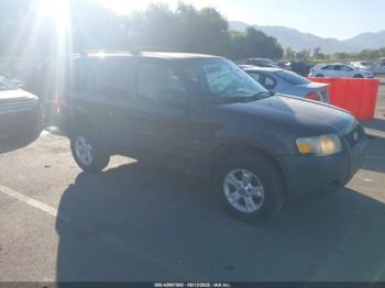  Salvage Ford Escape