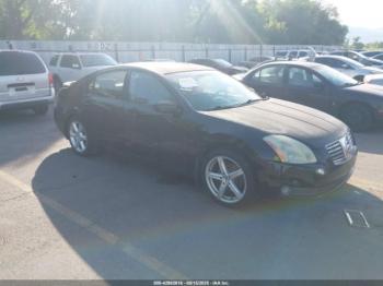  Salvage Nissan Maxima