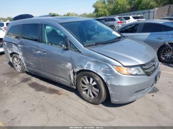  Salvage Honda Odyssey