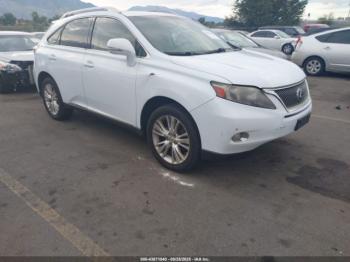  Salvage Lexus RX