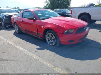  Salvage Ford Mustang
