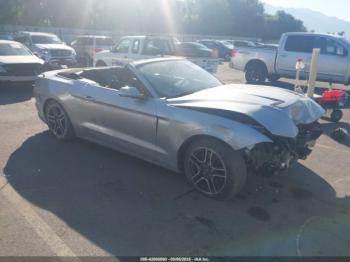  Salvage Ford Mustang