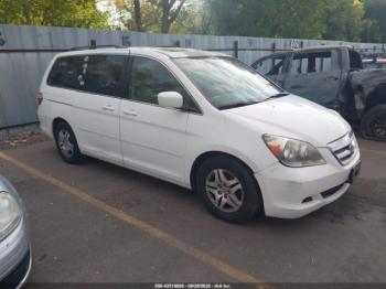  Salvage Honda Odyssey