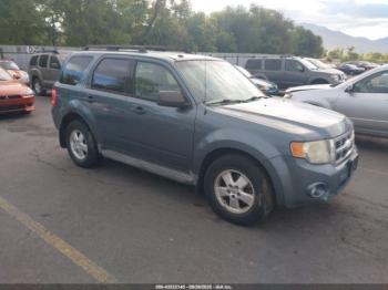  Salvage Ford Escape