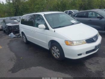  Salvage Honda Odyssey