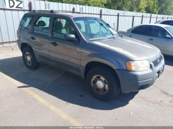  Salvage Ford Escape