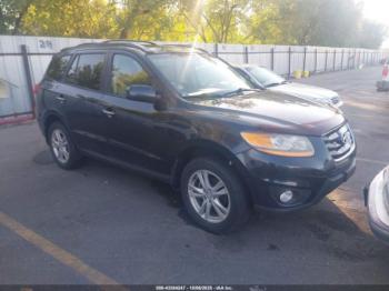  Salvage Hyundai SANTA FE