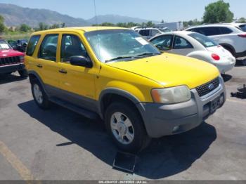  Salvage Ford Escape