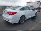 Hyundai SONATA Se Image 6