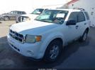 Ford Escape Xlt Image 5