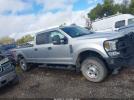 Ford F-250 Xl Image 12