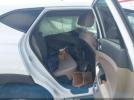 Hyundai TUCSON Se Image 8