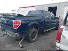 Ford F-150 Xlt Image 7