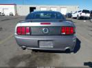 Ford Mustang Gt Image 16