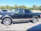 Ford F-150 King Ranch Image 10