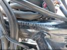 Honda Cmx500 Image 11