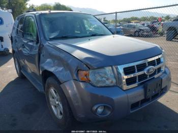  Salvage Ford Escape