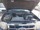 Ford Escape Image 2
