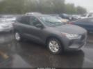 Ford Escape Image 1