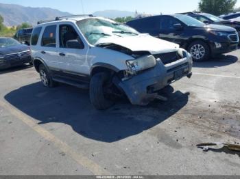  Salvage Ford Escape