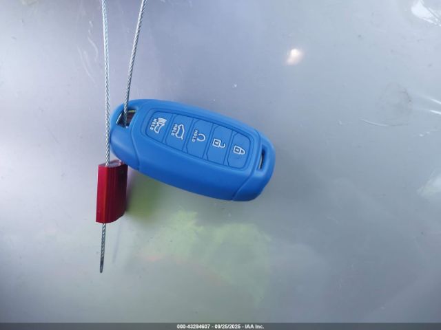 Hyundai ELANTRA Limited Image 3