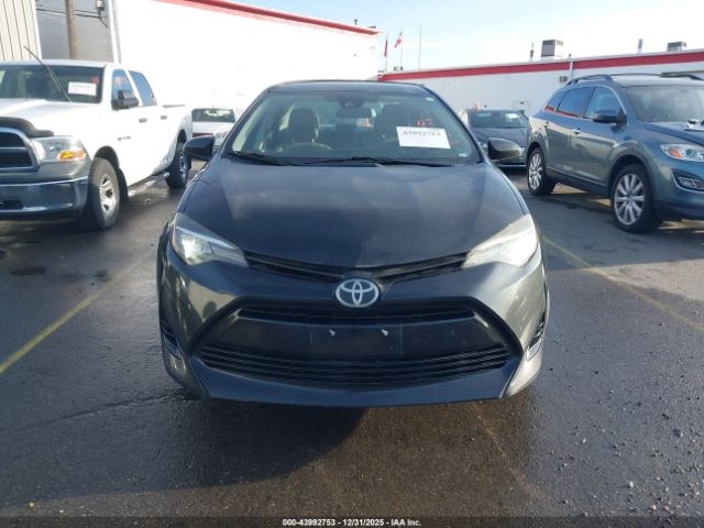 Toyota Corolla Le Image 12