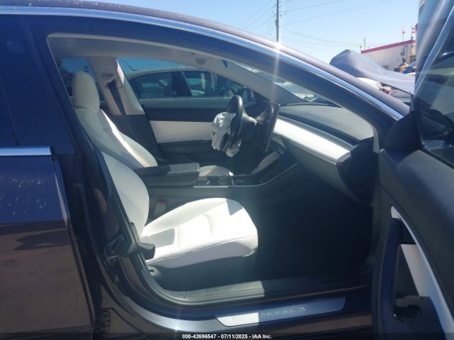 Tesla Model 3 Image 7