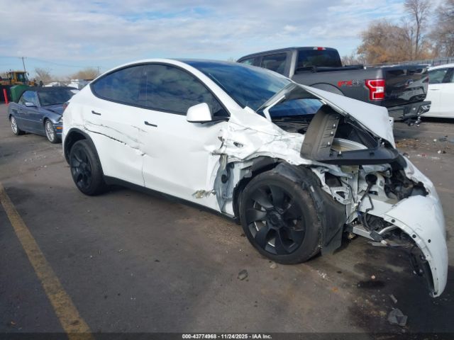 Tesla Model Y Long Range Dual Motor All-wheel Drive Image 1