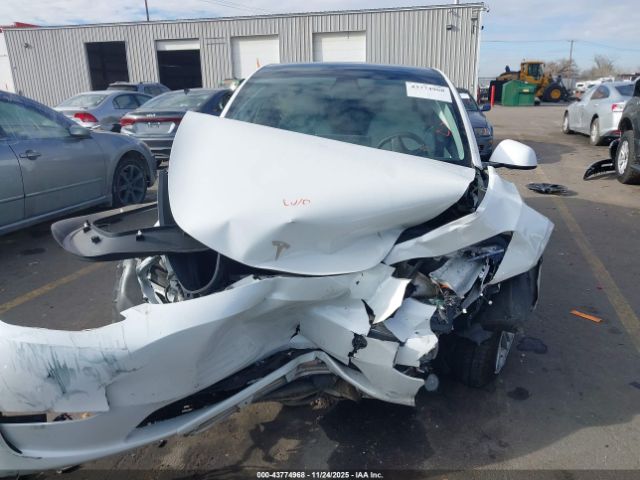 Tesla Model Y Long Range Dual Motor All-wheel Drive Image 13