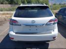 Lexus RX Image 14