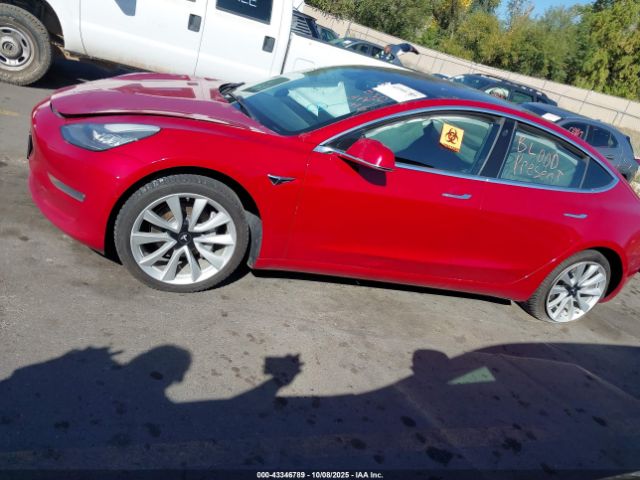 Tesla Model 3 Image 12