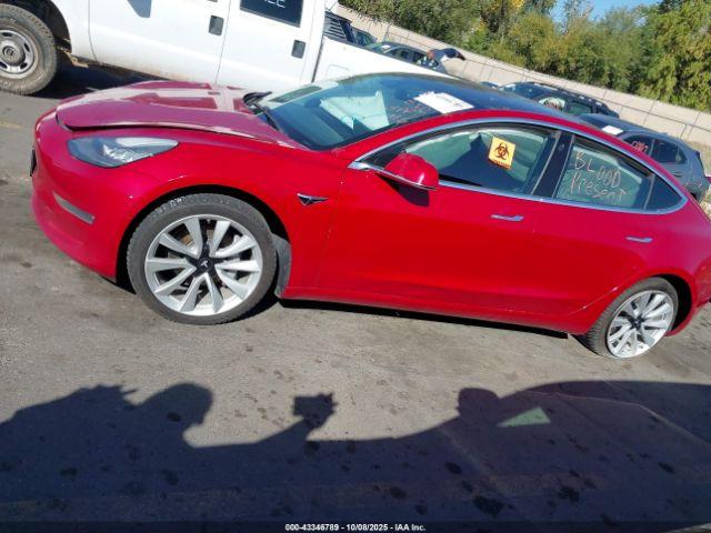 Tesla Model 3 Image 12