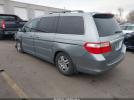 Honda Odyssey Touring Image 4