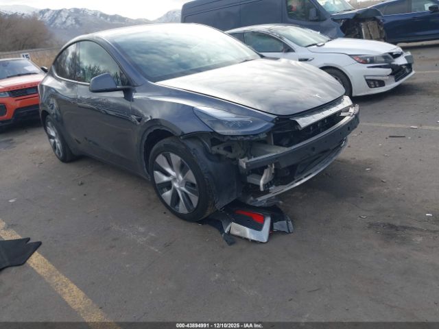 Tesla Model Y Image 1