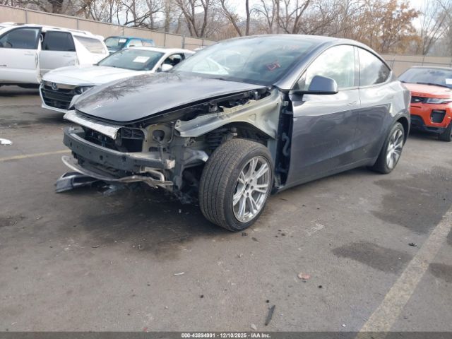 Tesla Model Y Image 6