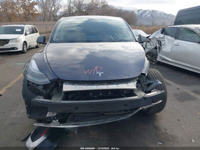 Tesla Model Y Image 8