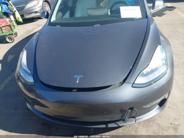 Tesla Model 3 Image 16