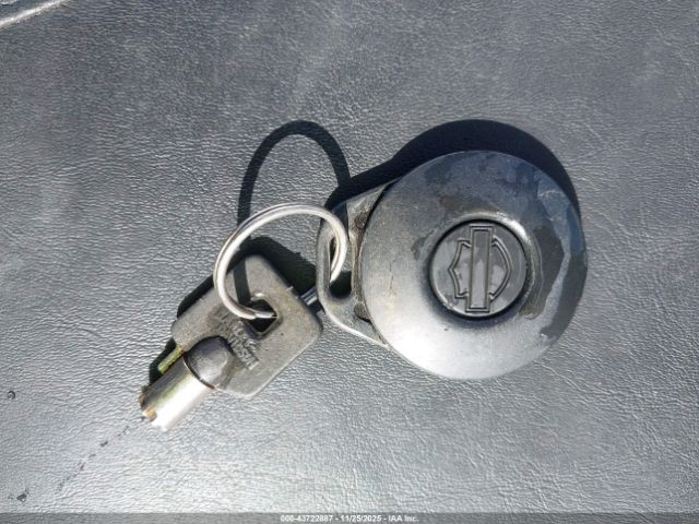 Harley-Davidson Fxstdi Anniversary Image 4