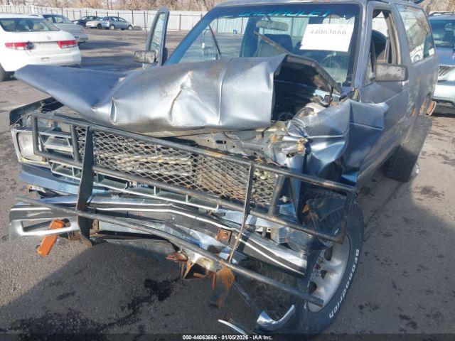 Chevrolet Blazer S10 Image 7