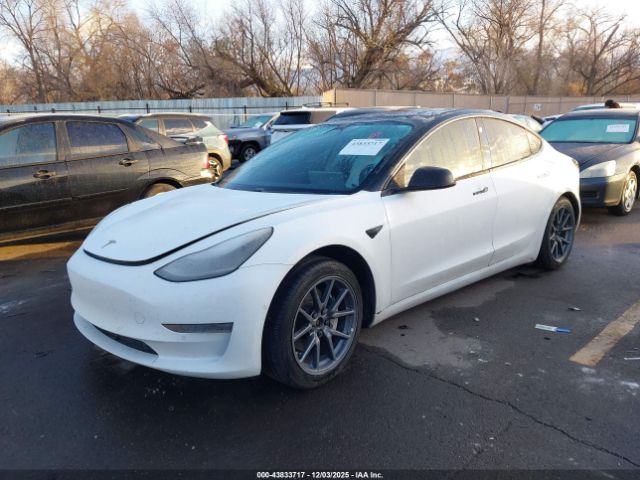 Tesla Model 3 Image 7